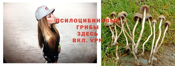 гидропоника Новокубанск